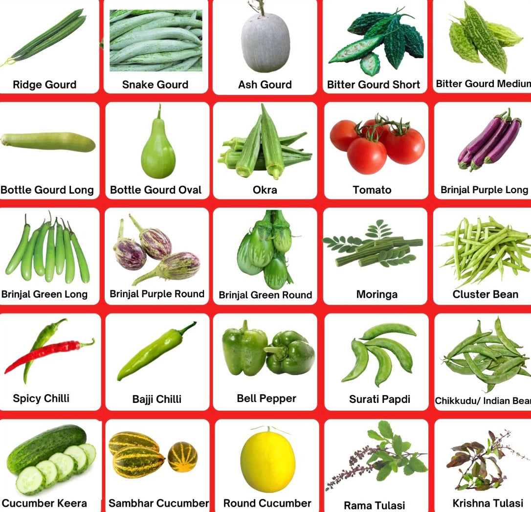 Indian Vegetable Seedlings – VVF Tropicals, image size:1086x1047