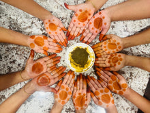 Load image into Gallery viewer, 2LB - గోరింటాకు / Henna / Mehandi “leaves” - Free Shipping