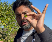 Load image into Gallery viewer, Small Green Raw Jujube / Regi Pallu - 5 LB - Free Express Shipping