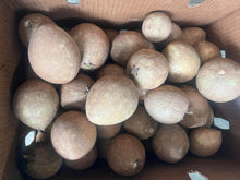 Load image into Gallery viewer, Sapota / Chicoo - (5 LB) - Free Express Shipping