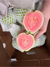 Load image into Gallery viewer, Pink Guava - 5 LB - Free Express Shipping
