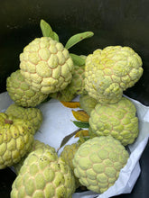 Load image into Gallery viewer, (“Pre Order”) Sitaphal / Sugar Apple - Free Shipping
