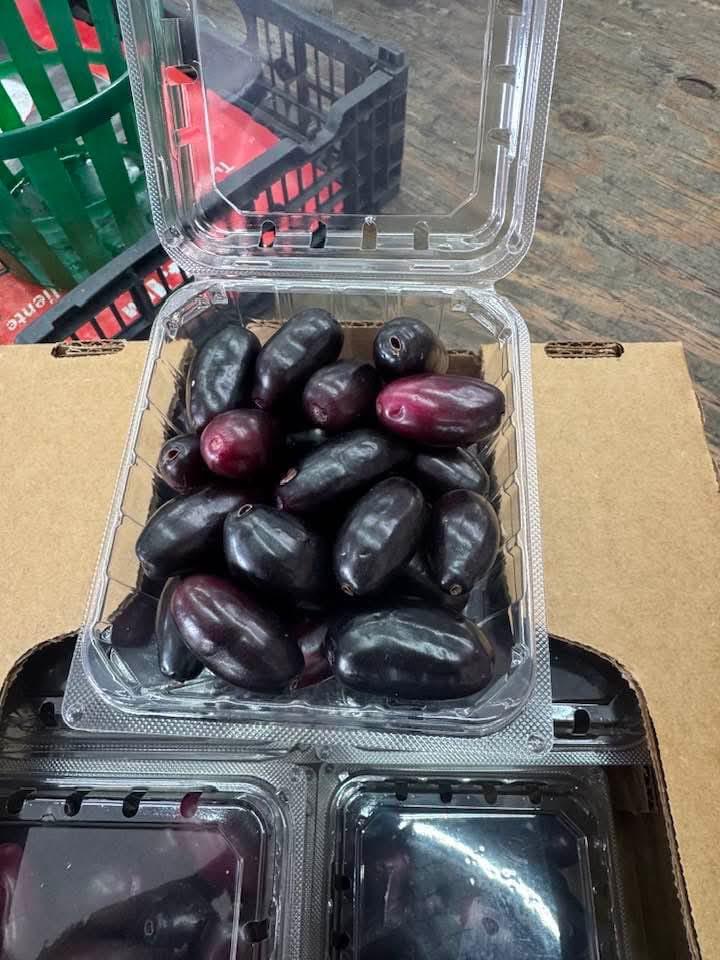 Neredu / Jamun / Java Plum - 10oz Clam Shell - 12 Clam Shells in the box - Free Shipping