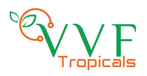 VVF Tropicals