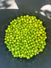 Load image into Gallery viewer, Small Green Raw Jujube / Regi Pallu - 5 LB - Free Express Shipping
