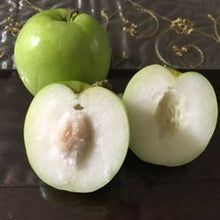 Load image into Gallery viewer, Big Jujube / Regi Pallu - 5 LB - Free Express Shipping
