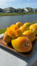Load image into Gallery viewer, Premium Alphonso Mango - 3 KG - Free Shipping
