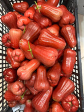 Load image into Gallery viewer, Red Wax Apple - 5 LB - Free Express Shipping
