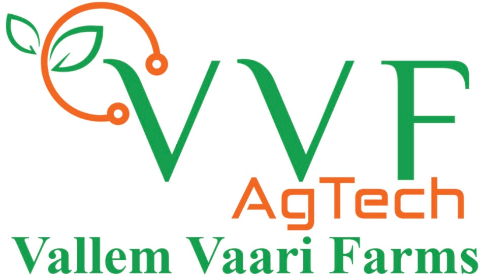 VVF Tropicals logo