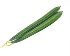 SL019_Indian Ridge Gourd Seedling - 