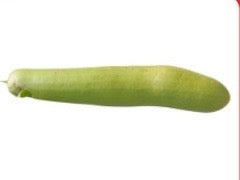 SL011_Indian Bottle Gourd 