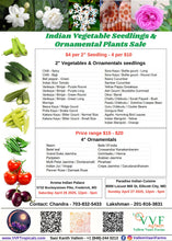Load image into Gallery viewer, Seedlings Sale - 2025 - Different locations across USA
