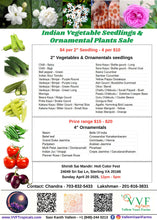 Load image into Gallery viewer, Seedlings Sale - 2025 - Different locations across USA
