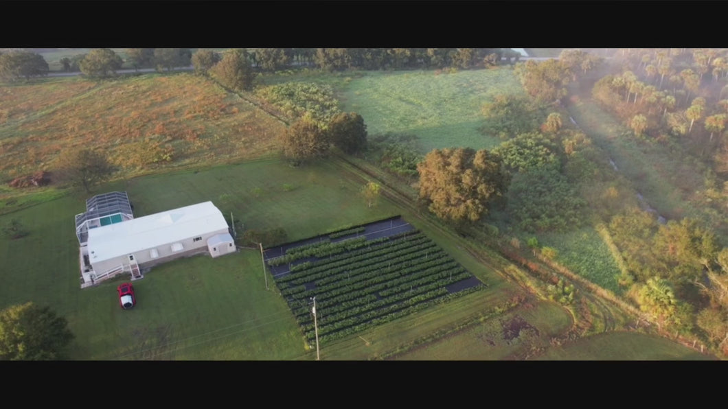 Farm Stay at Vallem Vaari Farms, Okeechobee, FL - 1 Room per Night
